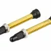 Wtb Valve Tubeless TCS Presta En Laiton