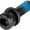 Shimano Vis M6 X 18,7 Pour Adaptateur D'Étrier De Frein -Promos Porte-vélos Magasin 133855