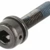 Shimano Vis De Fixation Pour Adaptateur De Frein à Disque Flatmount En PM -Promos Porte-vélos Magasin 146659