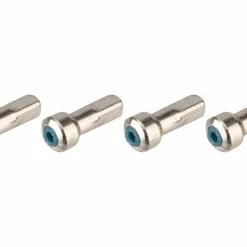 Campagnolo® Rayons Zonda C17 àpd Modèle 2016 -Promos Porte-vélos Magasin 215757