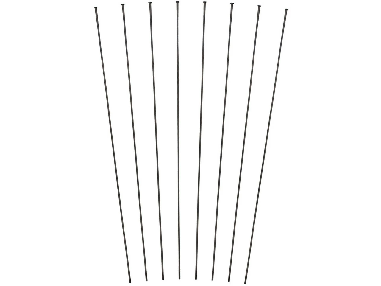 Dt-swiss Set De Rayons Pour HX 1501 SPLINE® 30 29" 3 Dt-swiss Set De Rayons Pour HX 1501 SPLINE® 30 29"