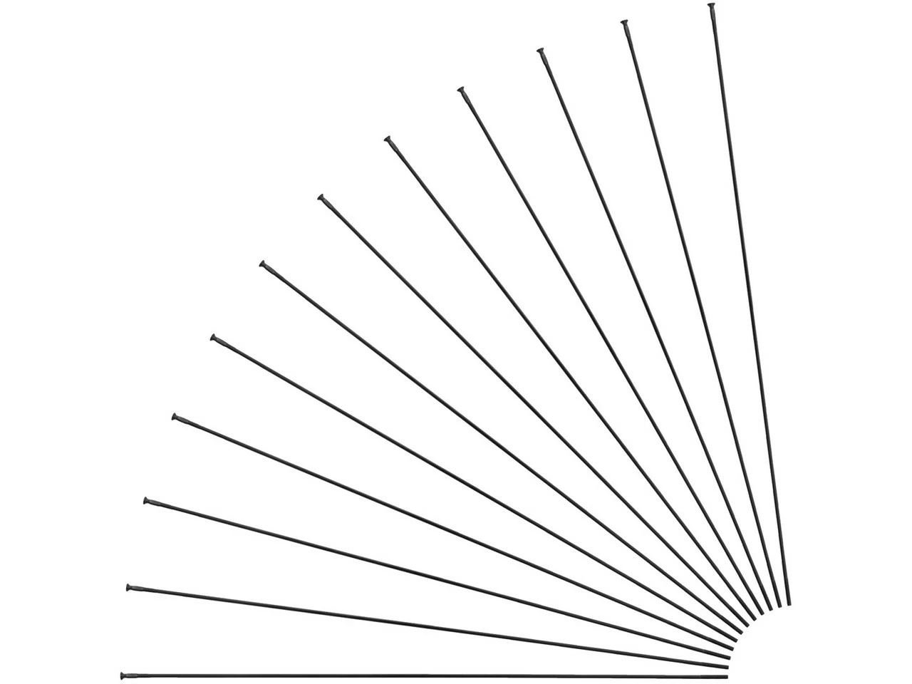 Mavic Rayons Crossmax / XA Light 29" àpd Modèle 2018 3 Mavic Rayons Crossmax / XA Light 29" àpd Modèle 2018