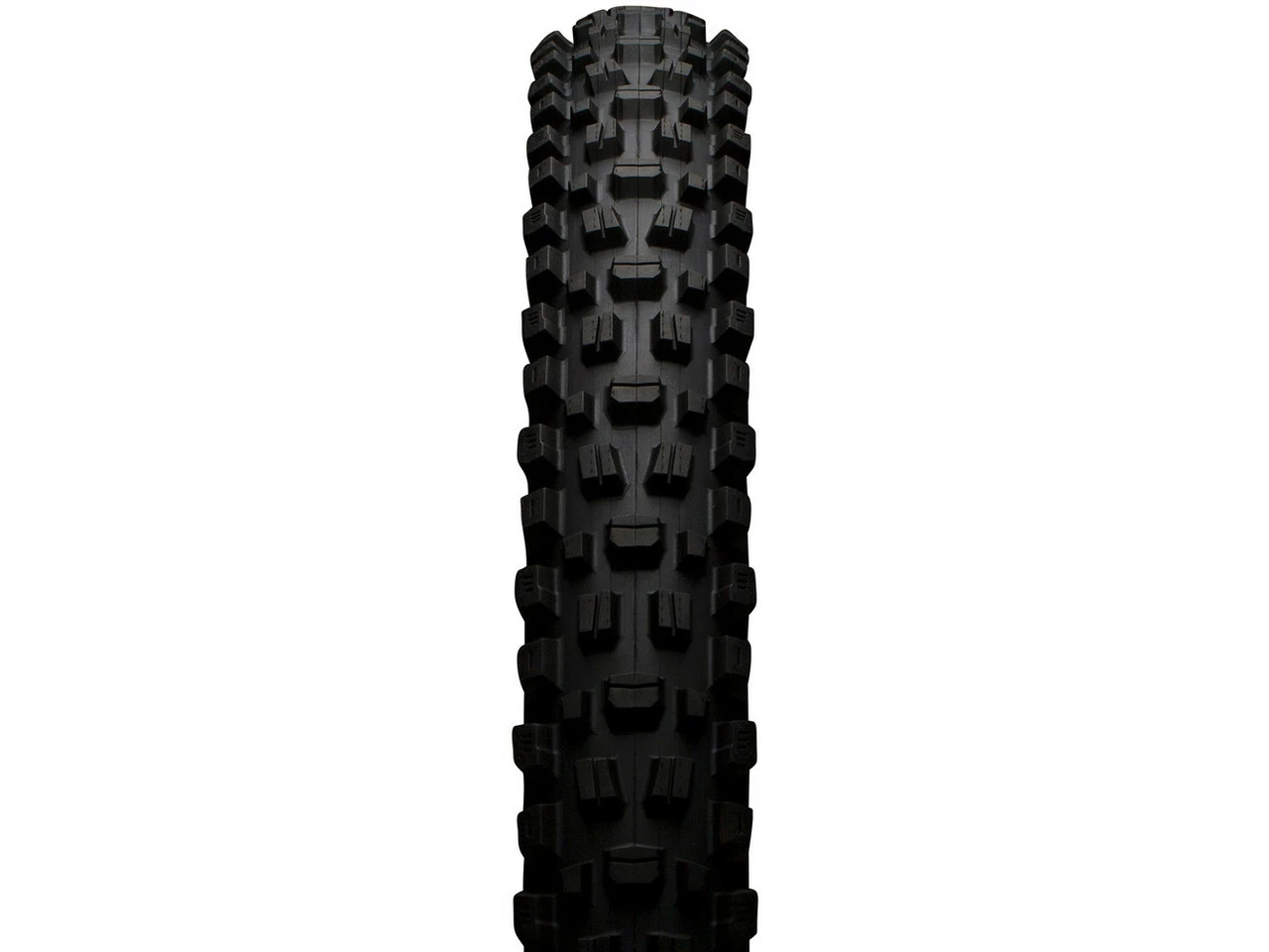 MAXXIS Pneu Souple Assegai 3C MaxxGrip Downhill WT TR 29" 6 MAXXIS Pneu Souple Assegai 3C MaxxGrip Downhill WT TR 29" – Image 4
