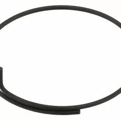 Dt-swiss Ressort De Cliquet Pour Moyeu Arrière DT Onyx