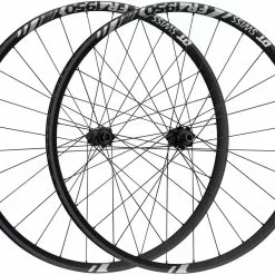 Dt-swiss Set De Roues FR 1950 CLASSIC 30 Boost Disc Center Lock 29"