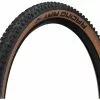 Schwalbe Pneu Souple Racing Ray Evolution ADDIX Speed Super Race 29"