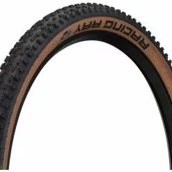 Schwalbe Pneu Souple Racing Ray Evolution ADDIX Speed Super Race 29"
