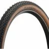 Continental Pneu Souple Race King ProTection 26" - Édition Bernstein -Promos Porte-vélos Magasin 433566