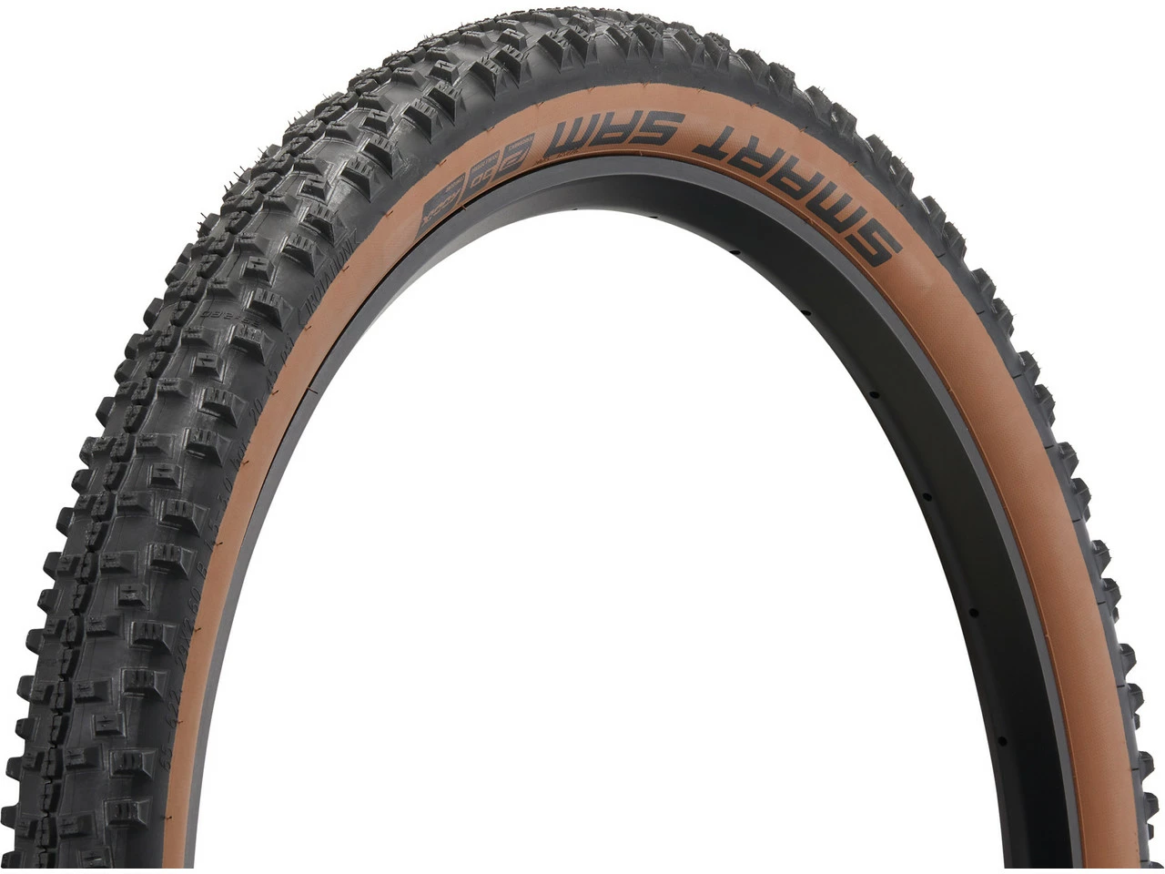 Schwalbe Pneu Souple Smart Sam Performance ADDIX RaceGuard DD 29+ 7 Schwalbe Pneu Souple Smart Sam Performance ADDIX RaceGuard DD 29+ – Image 5