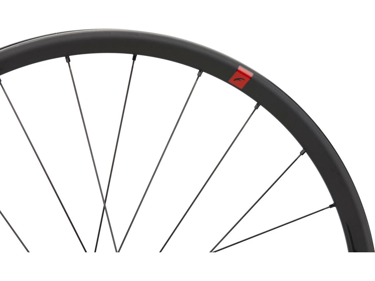 Fulcrum Set De Roues En Carbone Speed 25 DB Disc Center Lock 28" 8 Fulcrum Set De Roues En Carbone Speed 25 DB Disc Center Lock 28" – Image 6