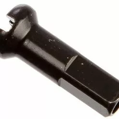 Dt-swiss Écrous En Laiton 2,0 Mm - 100 Pièces -Promos Porte-vélos Magasin 90586